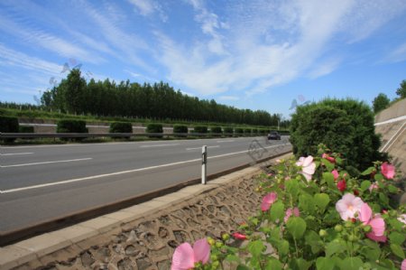 秦皇岛高速公路景观