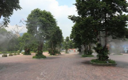 茶溪谷入口广场