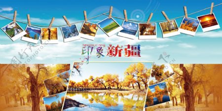 新疆胡杨林风景画素材海报