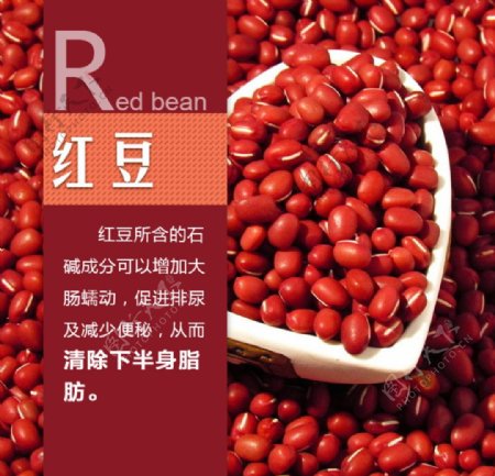 红豆营养小知识