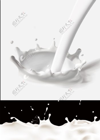 牛奶花