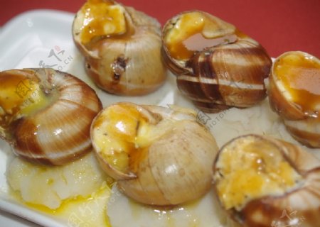 海螺海鲜菜式中餐饮食