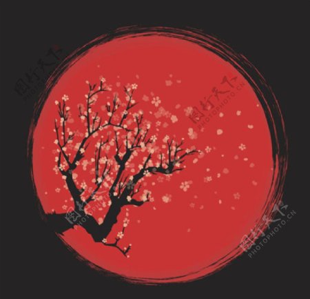 手绘红黑春季樱花插图