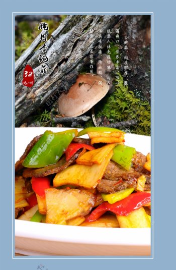菜谱内页设计蘑菇