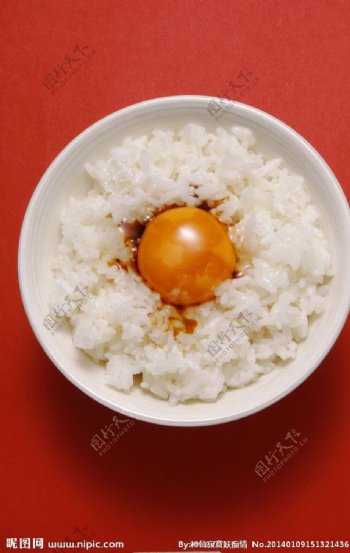 大米米饭鲜米饭