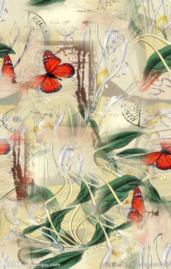 古典兰花蝴蝶图案