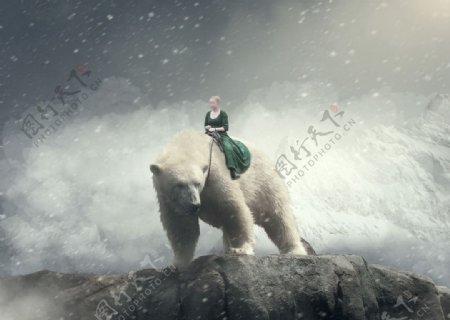 北极熊骑士