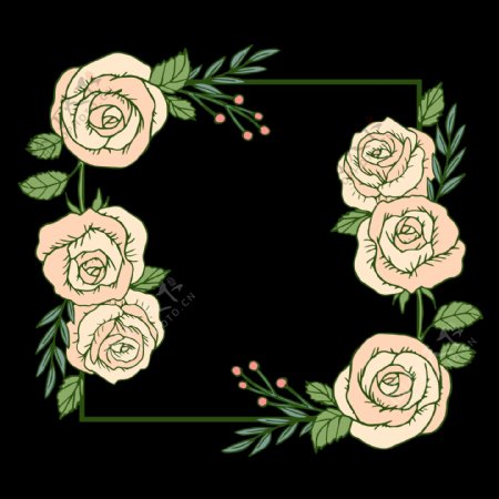 白玫瑰花卉边框免抠png透明图层素材