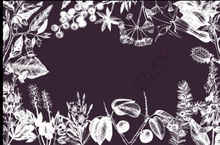 手绘叶子花卉边框免抠png透明图层素材