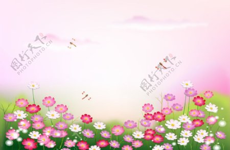 粉色花海