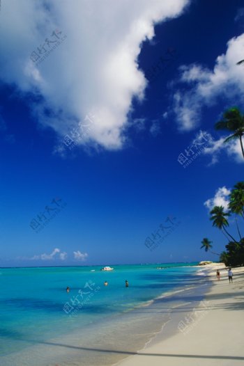 蓝色海岸度假游玩的人们图片