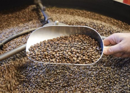 铲起的咖啡豆