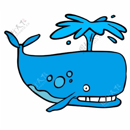 蓝色的鲸鱼喷水