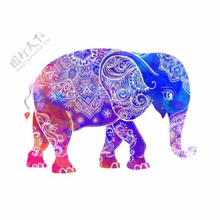彩色花纹大象