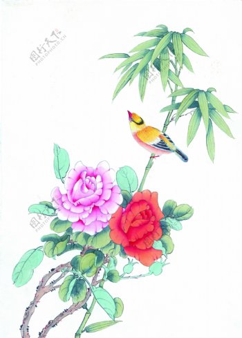 牡丹竹子鸟类国画图片