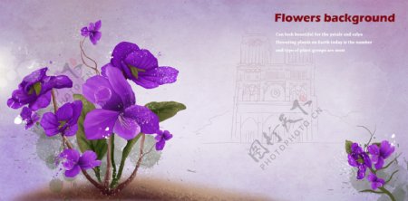 紫色系手绘花朵明信片