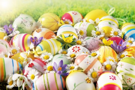 复活节可爱彩蛋与花朵图片