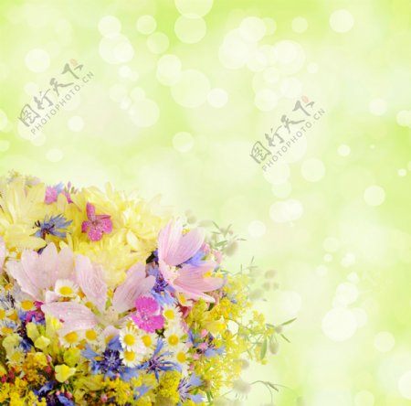 梦幻光斑鲜花背景图片