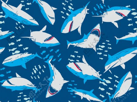 鲨鱼数码印花设计