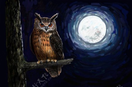 油画作品月光下的猫头鹰图片