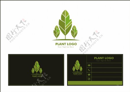 植物自然名片设计