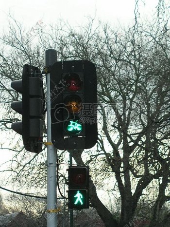 显示着绿灯的红绿灯