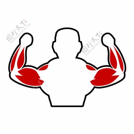 男性手臂肌肉图片