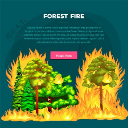 树林火灾图片