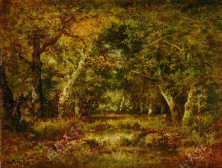 秋季树林风景画图片