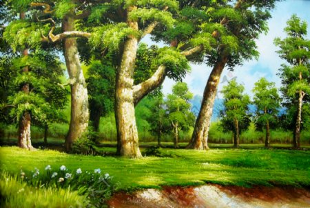 油画春天树林风景图片