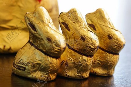包装成兔子的巧克力