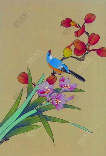 花卉植物与蓝色小鸟图片