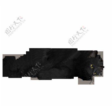 躺地上黑色猫图片免抠png透明图层素材