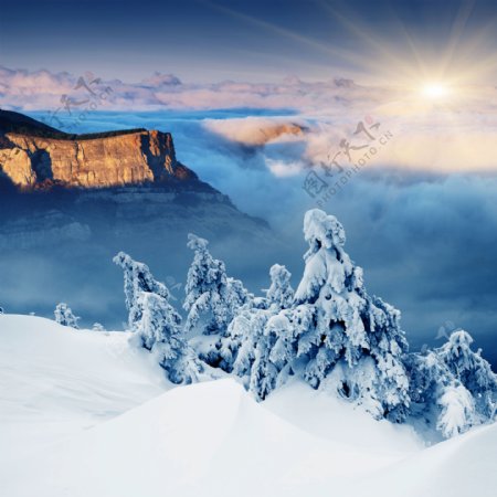 美丽的雪山与阳光图片