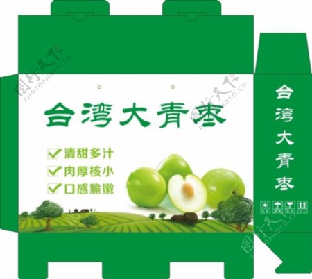 清爽的台湾大青枣包装礼盒
