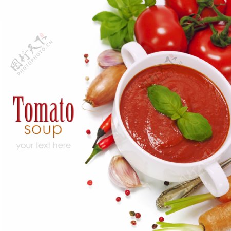 西红柿酱与蔬菜图片