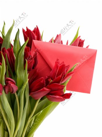 红色信封和郁金香花束图片