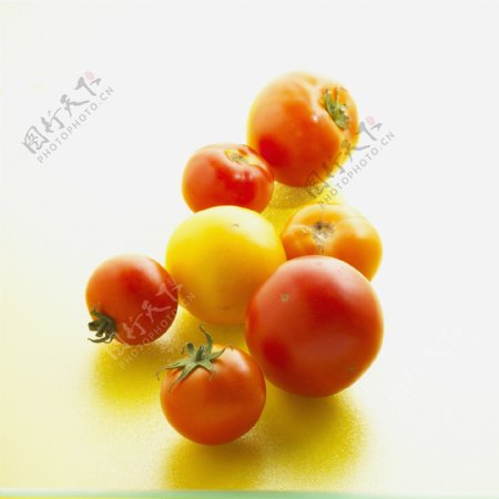 不同大小的西红柿图片