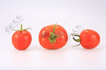 红颜色的西红柿