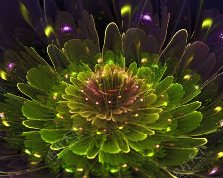 绚丽的3D立体花朵高清图片
