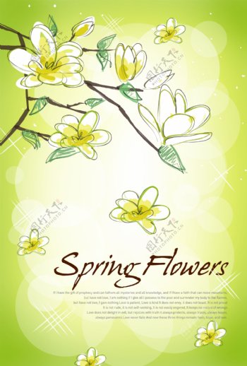 春色花朵浅绿背景素材