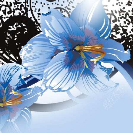 淡雅蓝色花朵装饰画