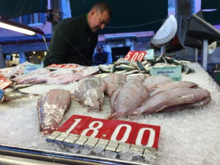 鱼鱼市场价格