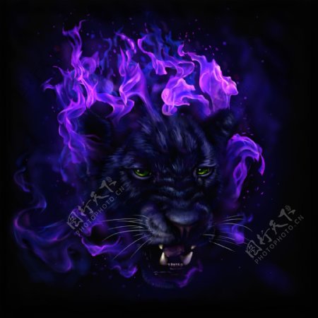 油画作品紫色火焰中的豹图片