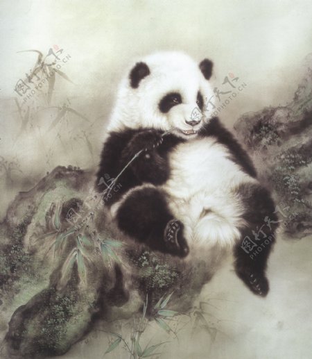小熊猫国画图片