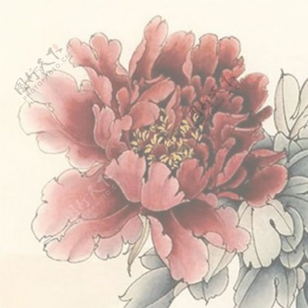 花朵主图背景