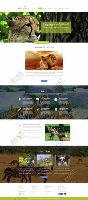 野生动物园官网企业模板