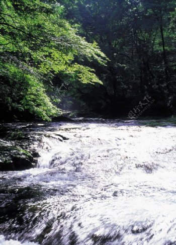 山林间急湍的溪水图片