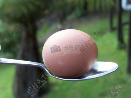 勺子上的鸡蛋