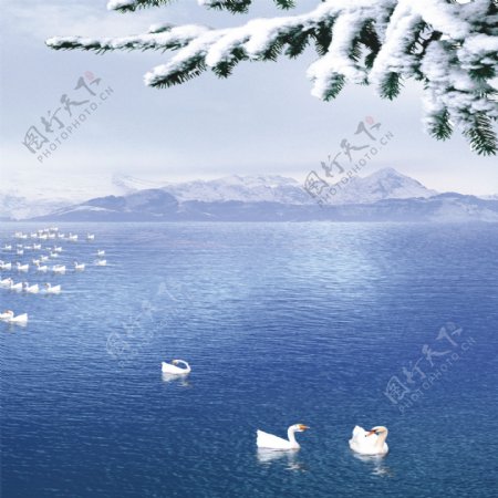 湖面雪枝装饰画